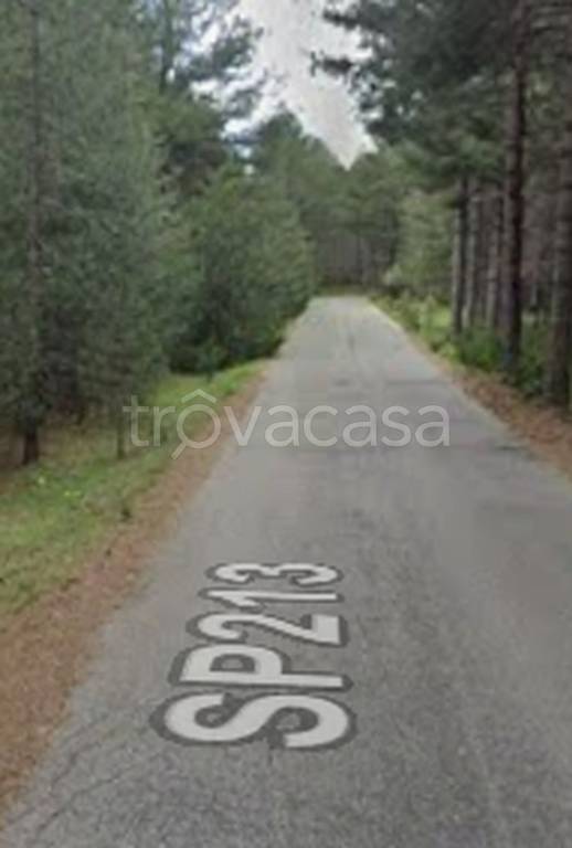 terreno agricolo in vendita a San Giovanni in Fiore