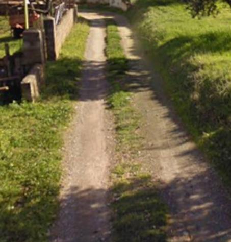 terreno agricolo in vendita a San Lorenzo del Vallo