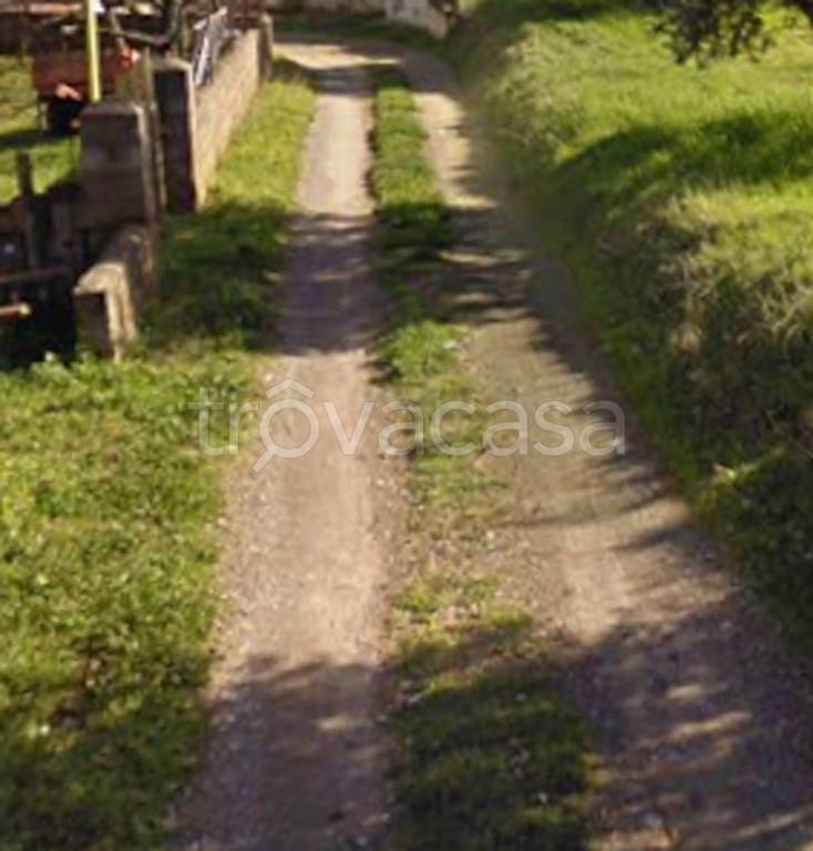 terreno agricolo in vendita a San Lorenzo del Vallo