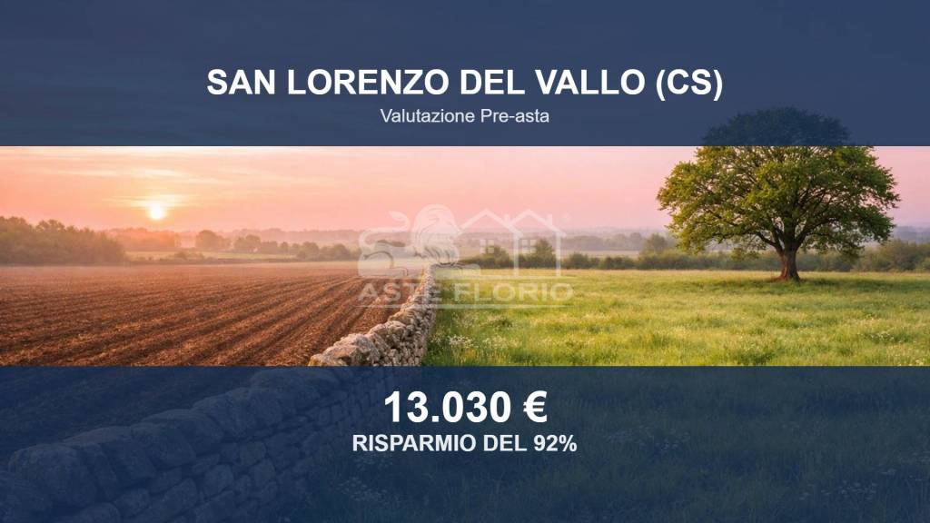 terreno agricolo in vendita a San Lorenzo del Vallo