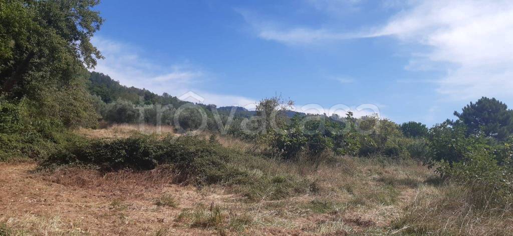 terreno agricolo in vendita a San Lucido