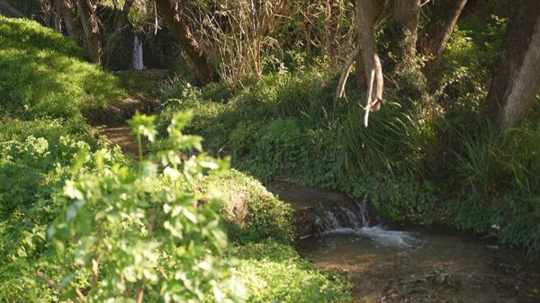 casa indipendente in vendita a San Lucido