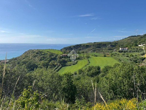 terreno agricolo in vendita a San Lucido in zona Pollella