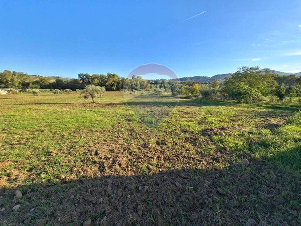 terreno agricolo in vendita a San Marco Argentano