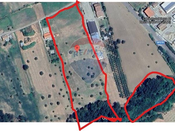 terreno agricolo in vendita a San Marco Argentano
