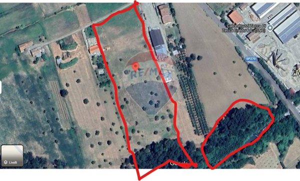 terreno agricolo in vendita a San Marco Argentano