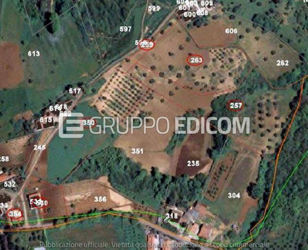 terreno agricolo in vendita a San Marco Argentano