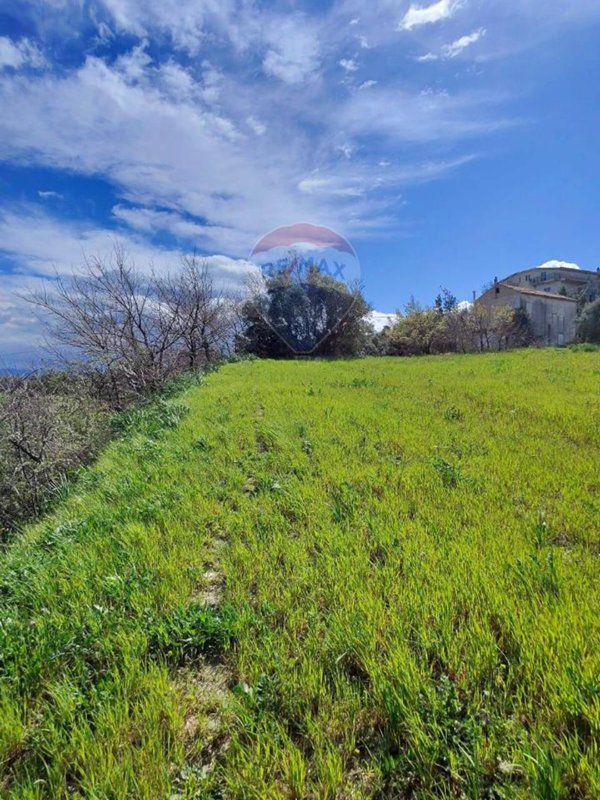 terreno agricolo in vendita a San Marco Argentano