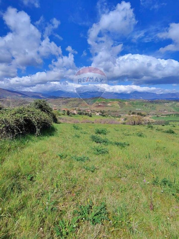 terreno agricolo in vendita a San Marco Argentano