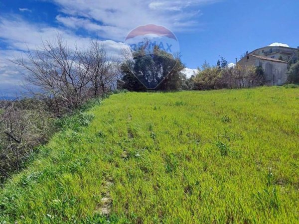 terreno agricolo in vendita a San Marco Argentano