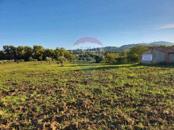 terreno agricolo in vendita a San Marco Argentano