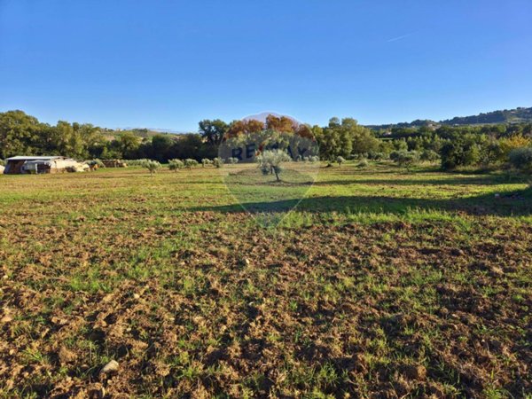 terreno agricolo in vendita a San Marco Argentano