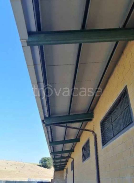 bivano in vendita a San Marco Argentano