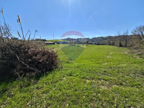 terreno agricolo in vendita a San Marco Argentano