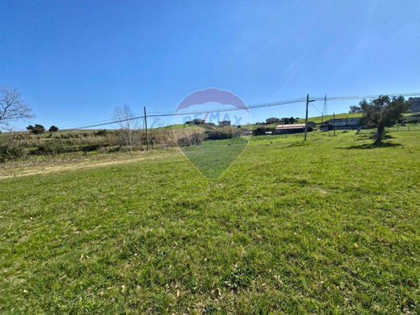 terreno agricolo in vendita a San Marco Argentano