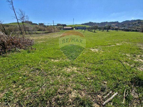 terreno agricolo in vendita a San Marco Argentano