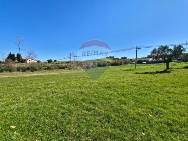 terreno agricolo in vendita a San Marco Argentano
