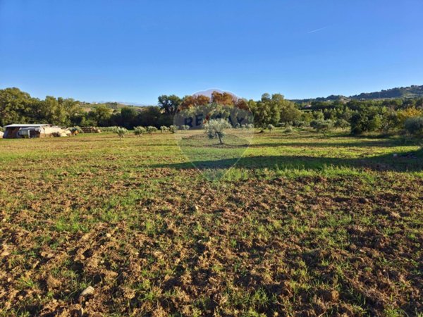 terreno agricolo in vendita a San Marco Argentano