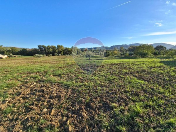 terreno agricolo in vendita a San Marco Argentano