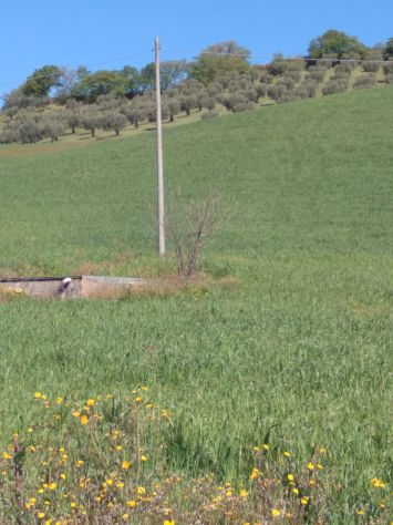 terreno agricolo in vendita a San Marco Argentano