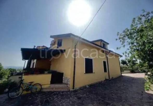 appartamento in vendita a San Marco Argentano