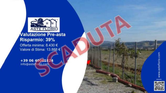 terreno agricolo in vendita a San Marco Argentano