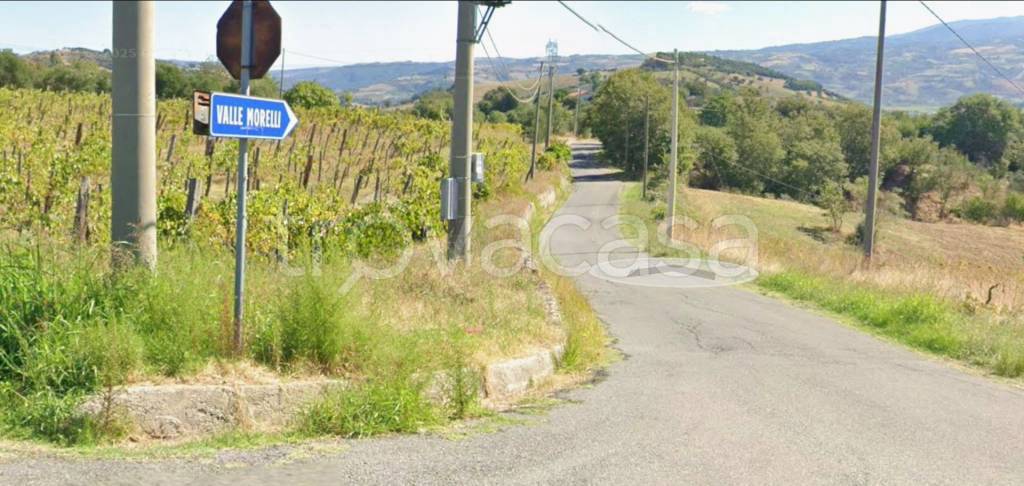 appartamento in vendita a San Marco Argentano