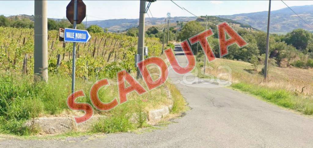 appartamento in vendita a San Marco Argentano