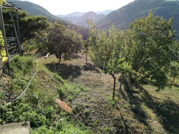 casa indipendente in vendita a San Marco Argentano