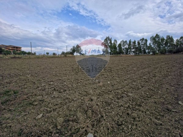 terreno edificabile in vendita a San Marco Argentano