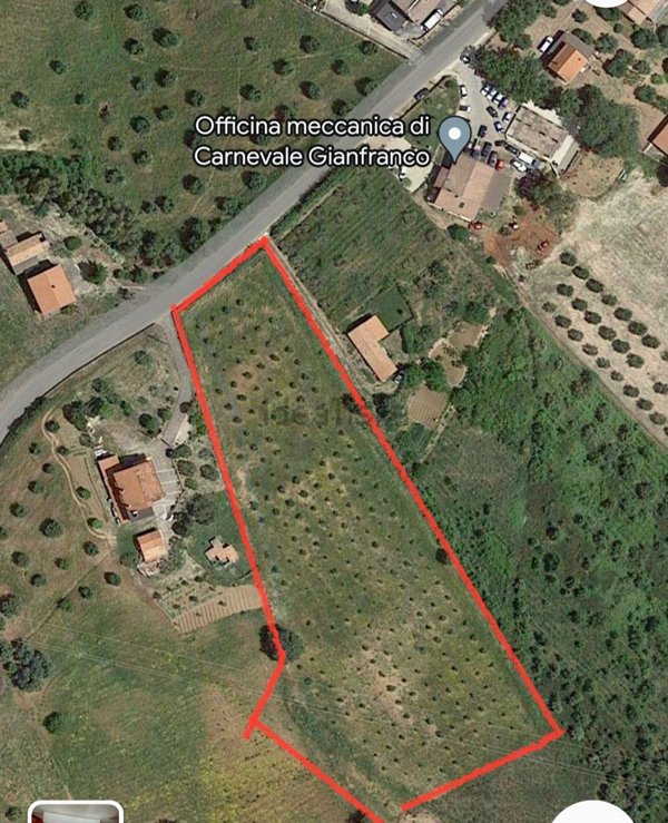 terreno edificabile in vendita a San Marco Argentano