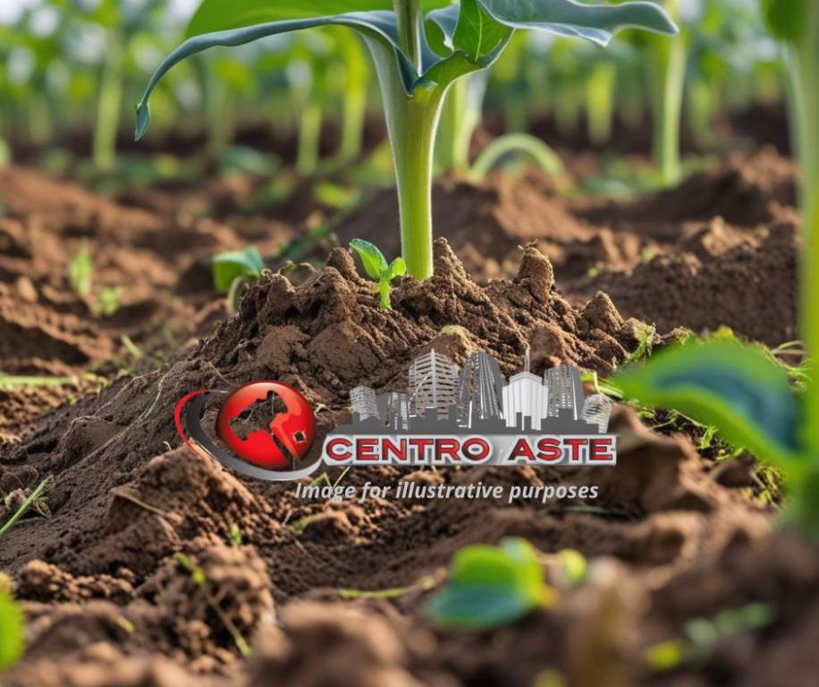 casa indipendente in vendita a San Marco Argentano