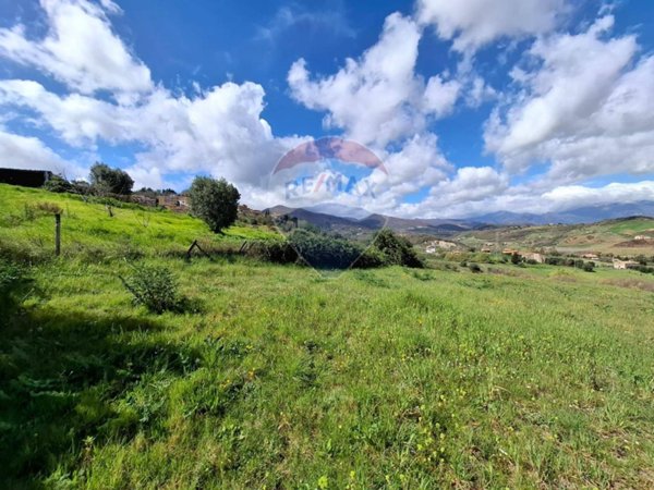 terreno agricolo in vendita a San Marco Argentano