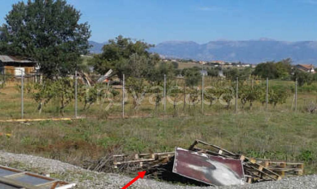 terreno agricolo in vendita a San Marco Argentano