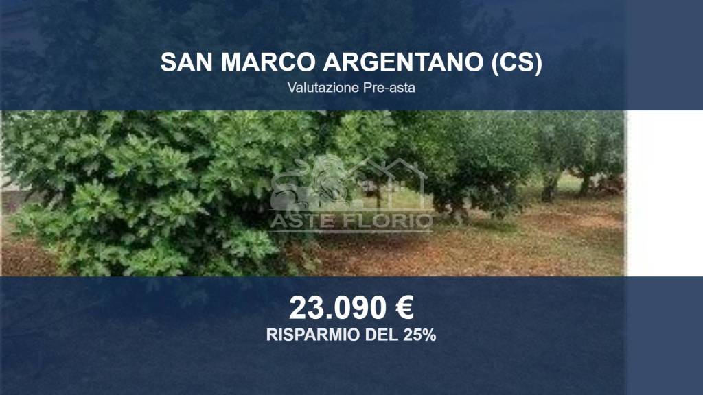 casa indipendente in vendita a San Marco Argentano in zona Matina
