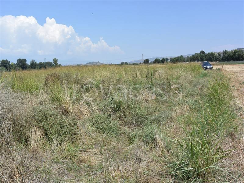 terreno agricolo in vendita a San Marco Argentano