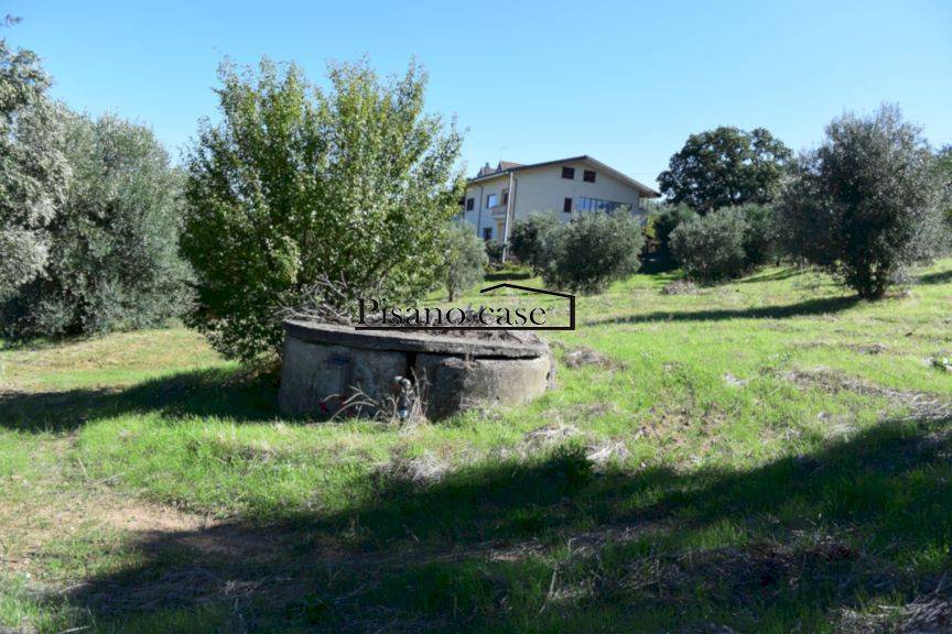 terreno in vendita a San Marco Argentano in zona Cimino