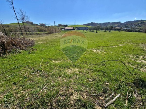 terreno in vendita a San Marco Argentano