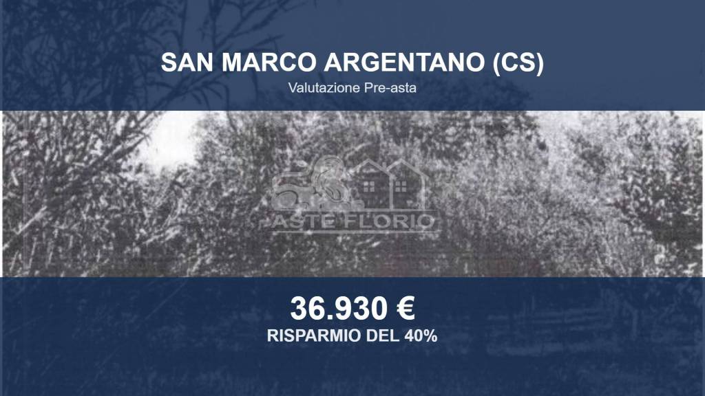 terreno agricolo in vendita a San Marco Argentano