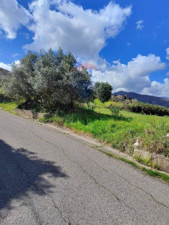 terreno in vendita a San Marco Argentano