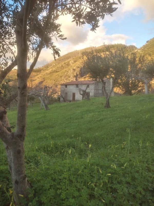 terreno agricolo in vendita a San Nicola Arcella