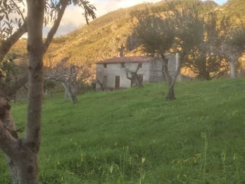 terreno agricolo in vendita a San Nicola Arcella
