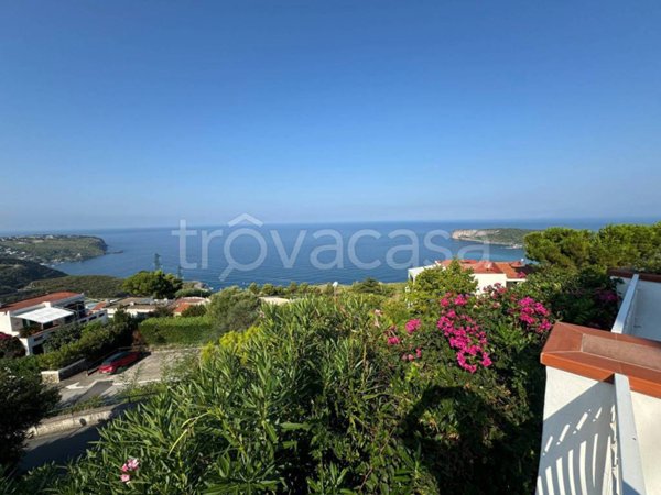casa indipendente in vendita a San Nicola Arcella