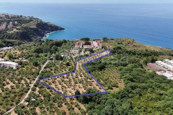 terreno agricolo in vendita a San Nicola Arcella