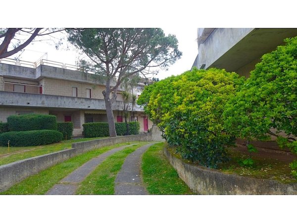 appartamento in vendita a San Nicola Arcella