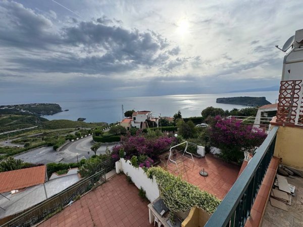 casa indipendente in vendita a San Nicola Arcella