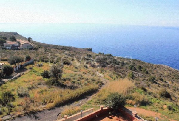terreno agricolo in vendita a San Nicola Arcella
