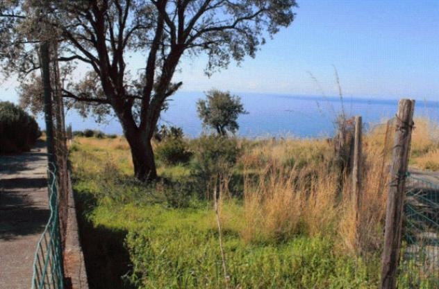 terreno agricolo in vendita a San Nicola Arcella