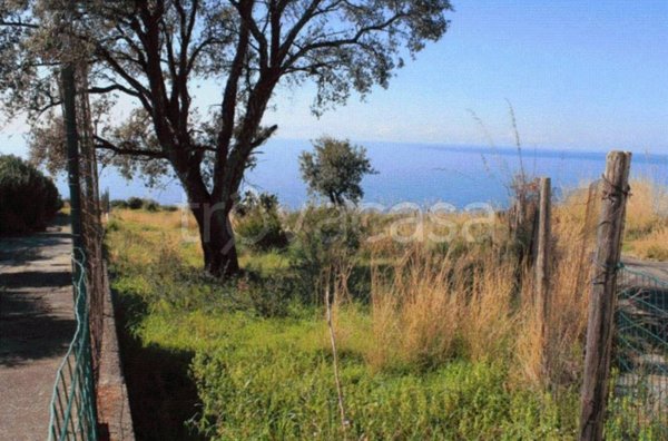 terreno agricolo in vendita a San Nicola Arcella