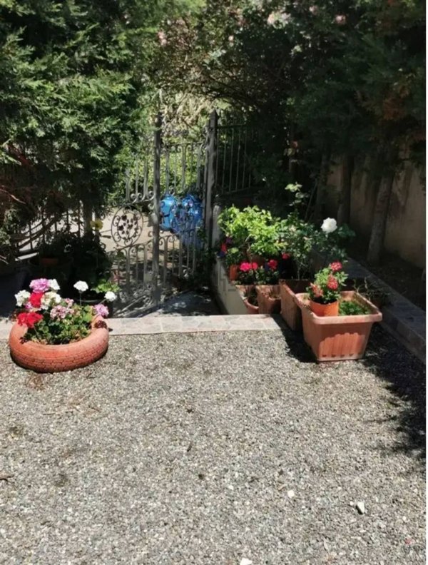 casa indipendente in vendita a San Nicola Arcella